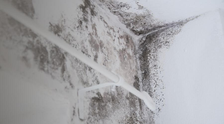 Why choose water damage restoration service for burst pipe water damage in Fort Pierce